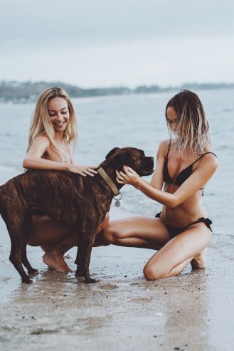 women with a dog at the beach