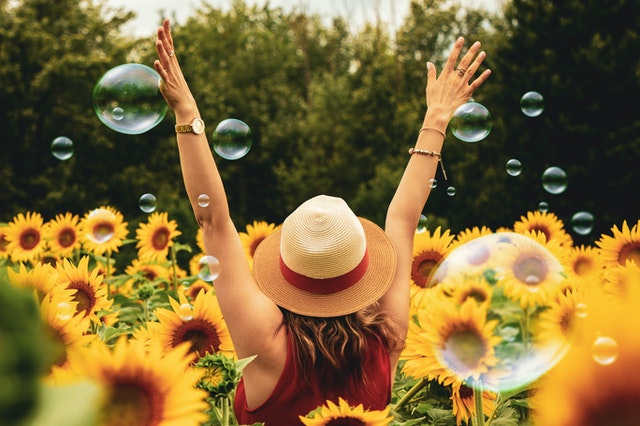 woman surrounded with sunflowers